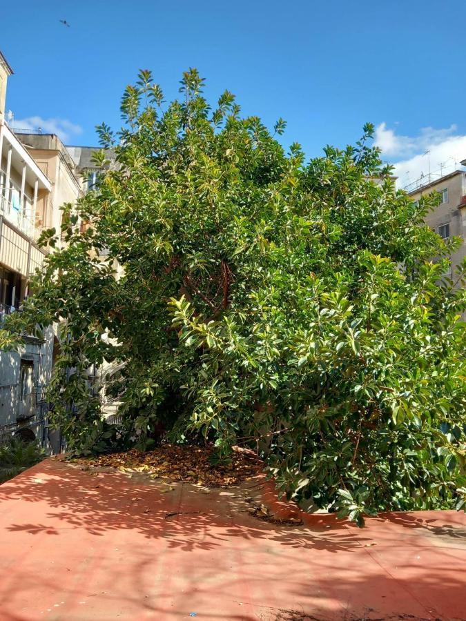 Santa Chiara Home Spaccanapoli מראה חיצוני תמונה